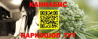 сатива Малгобек